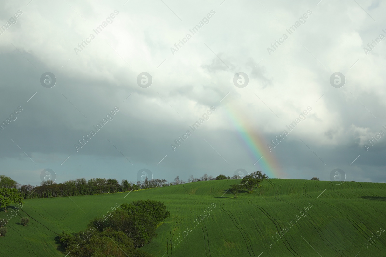 Photo of Beautiful view of green field and cloudy sky with rainbow