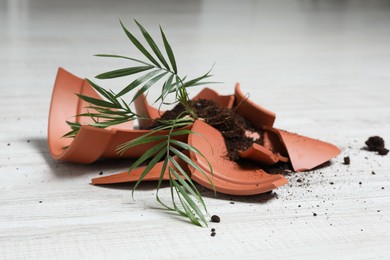 Photo of Broken terracotta flower pot with soil and plant on white wooden floor