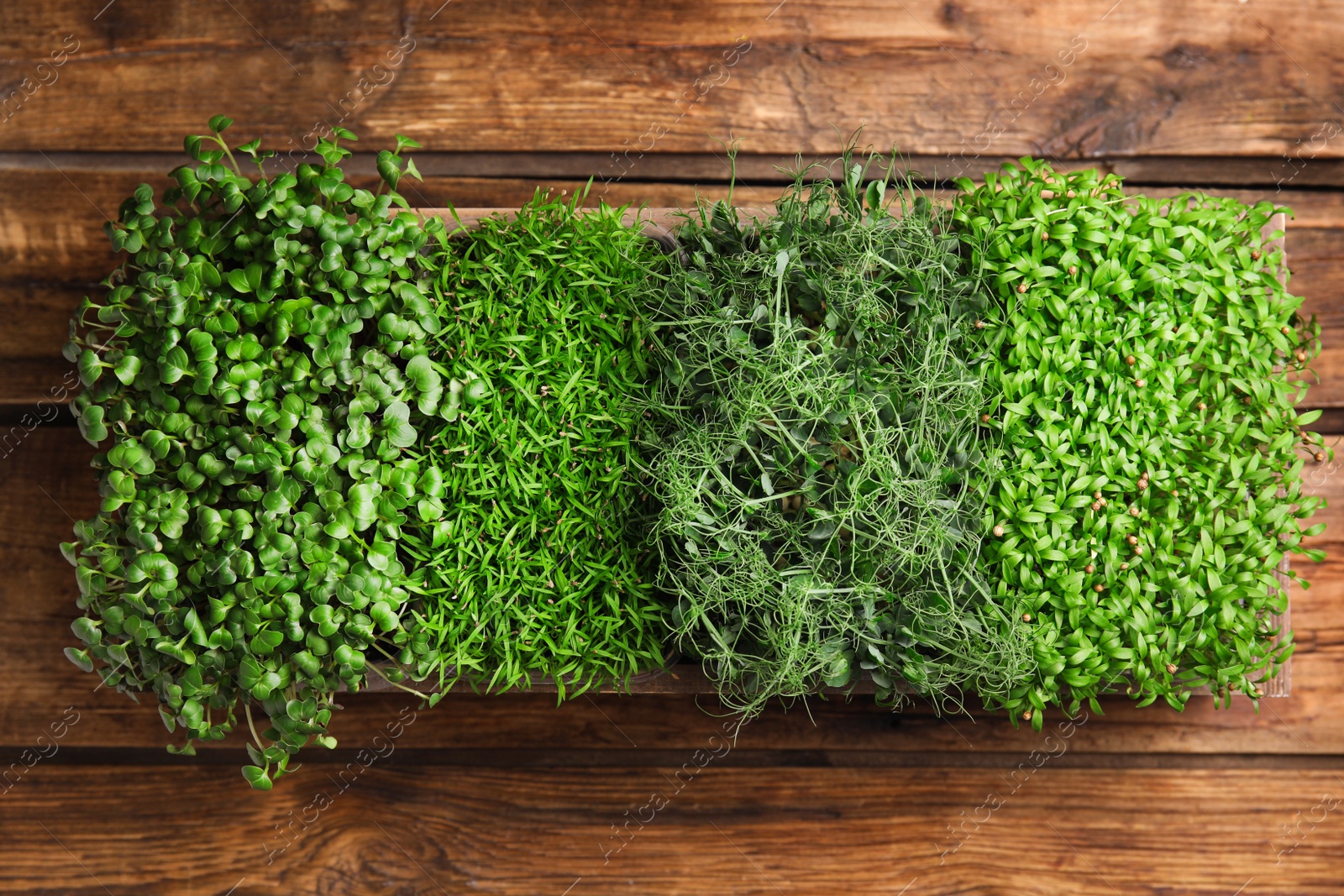 Photo of Fresh organic microgreens on wooden table, top view