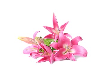 Photo of Beautiful pink lily flowers isolated on white