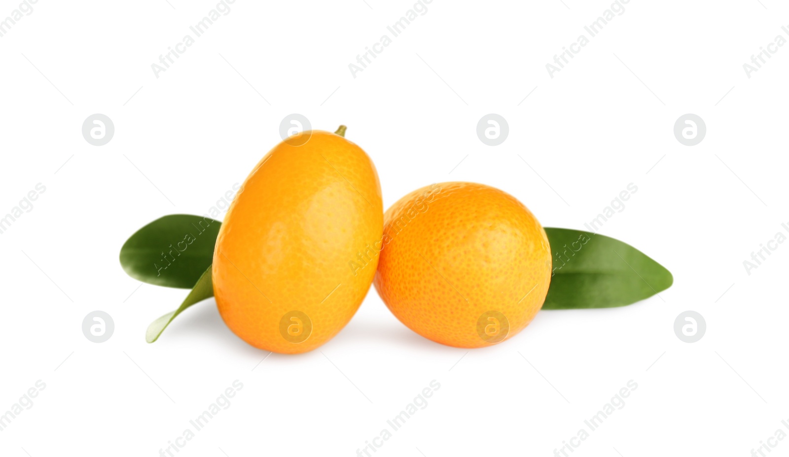 Photo of Fresh ripe kumquats with leaves on white background. Exotic fruit