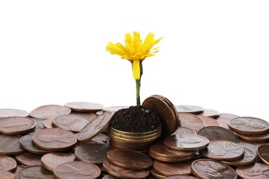 Photo of Pile of coins and flower isolated on white. Investment concept
