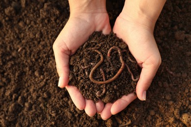 Photo of Woman holding soil with earthworms above ground, top view. Space for text