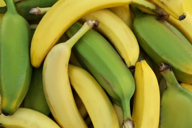 Photo of Different sorts of bananas as background, closeup