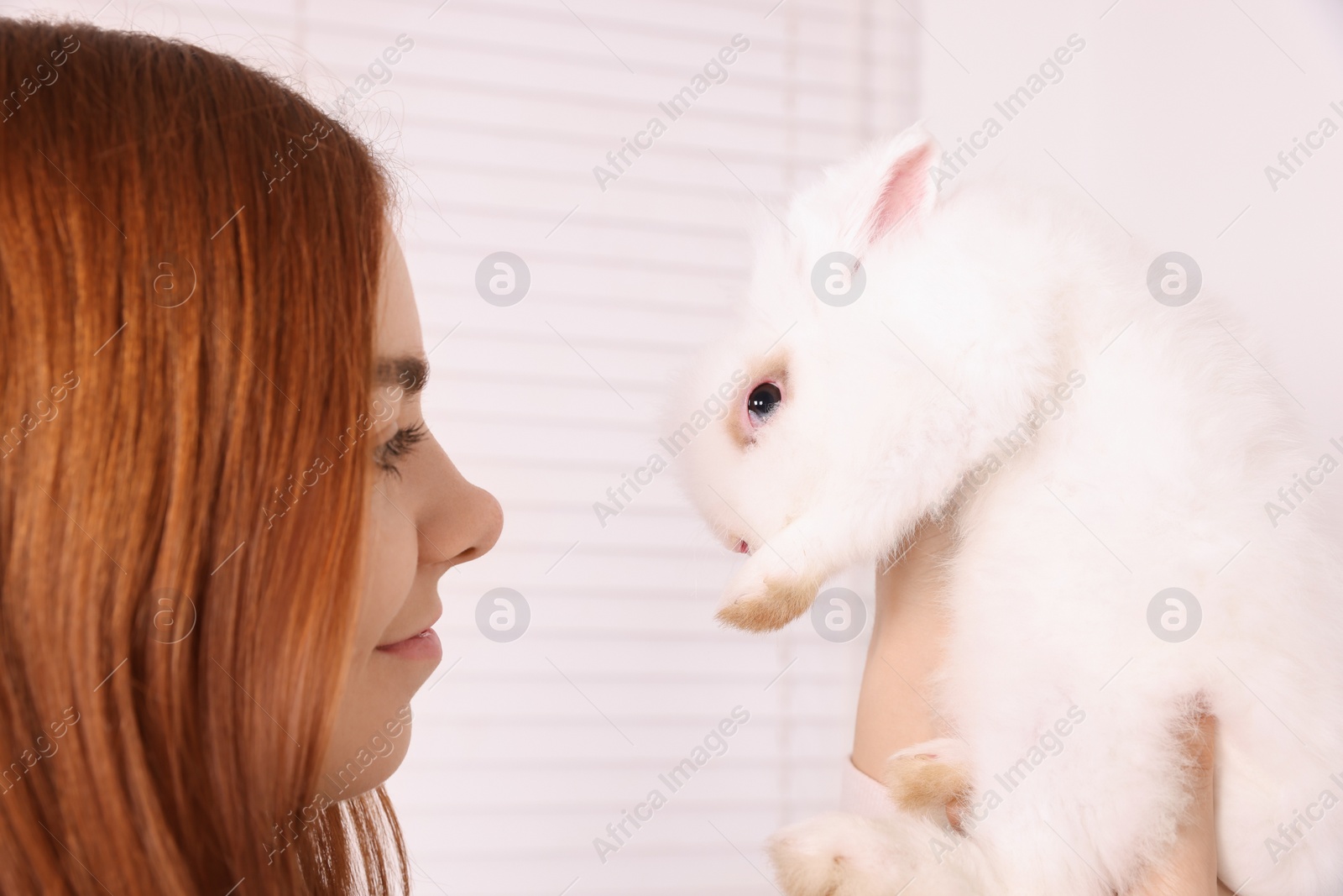 Photo of Woman with fluffy white rabbit indoors, closeup. Cute pet