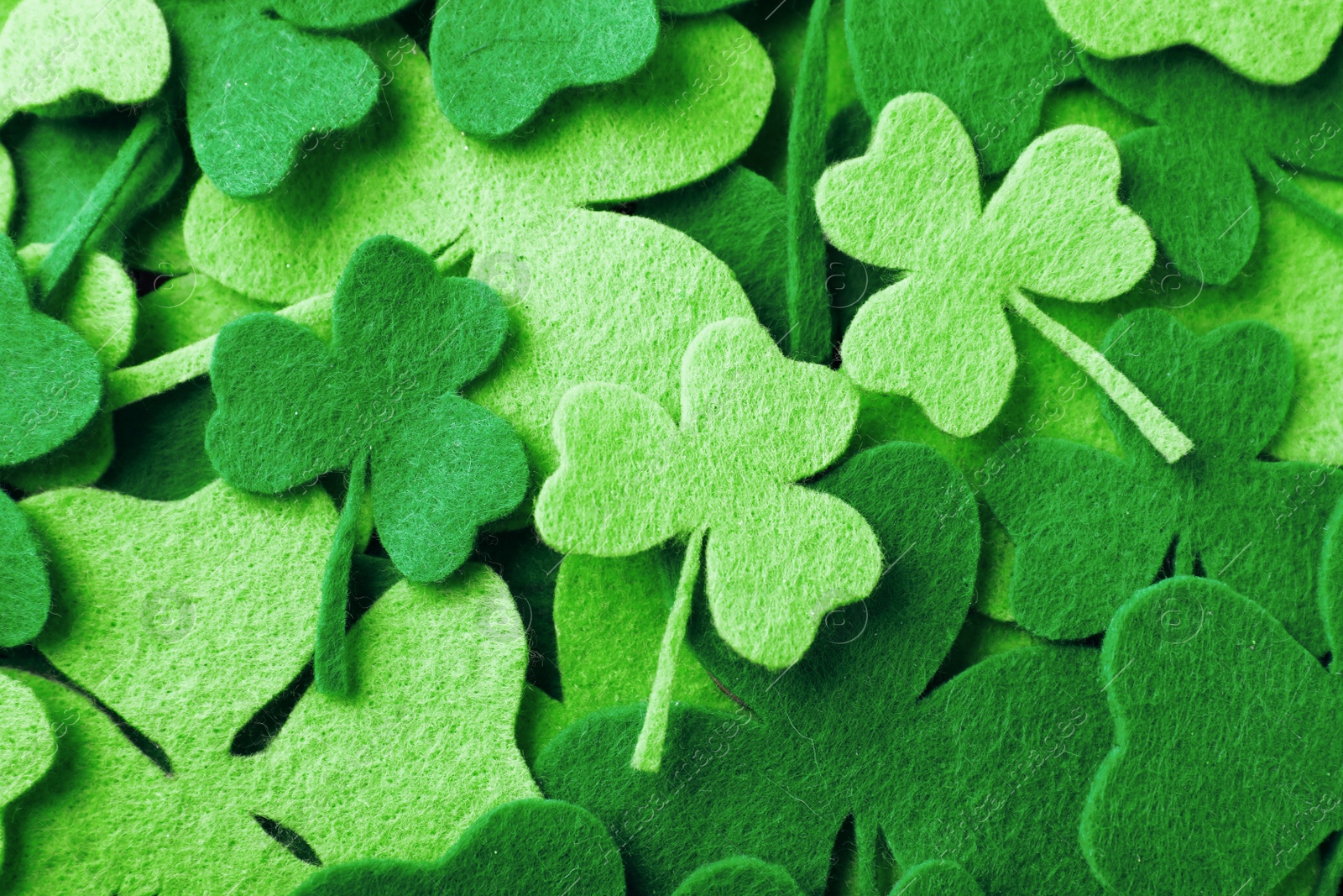 Photo of Green clover leaves as background, top view. St. Patrick's Day celebration