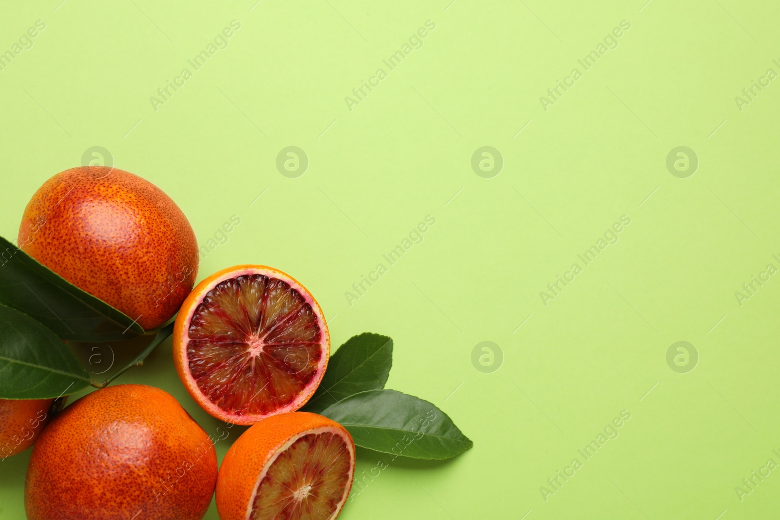 Photo of Ripe sicilian oranges and leaves on light green background, flat lay. Space for text
