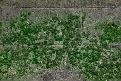 Photo of Stone wall with green moss as background, closeup