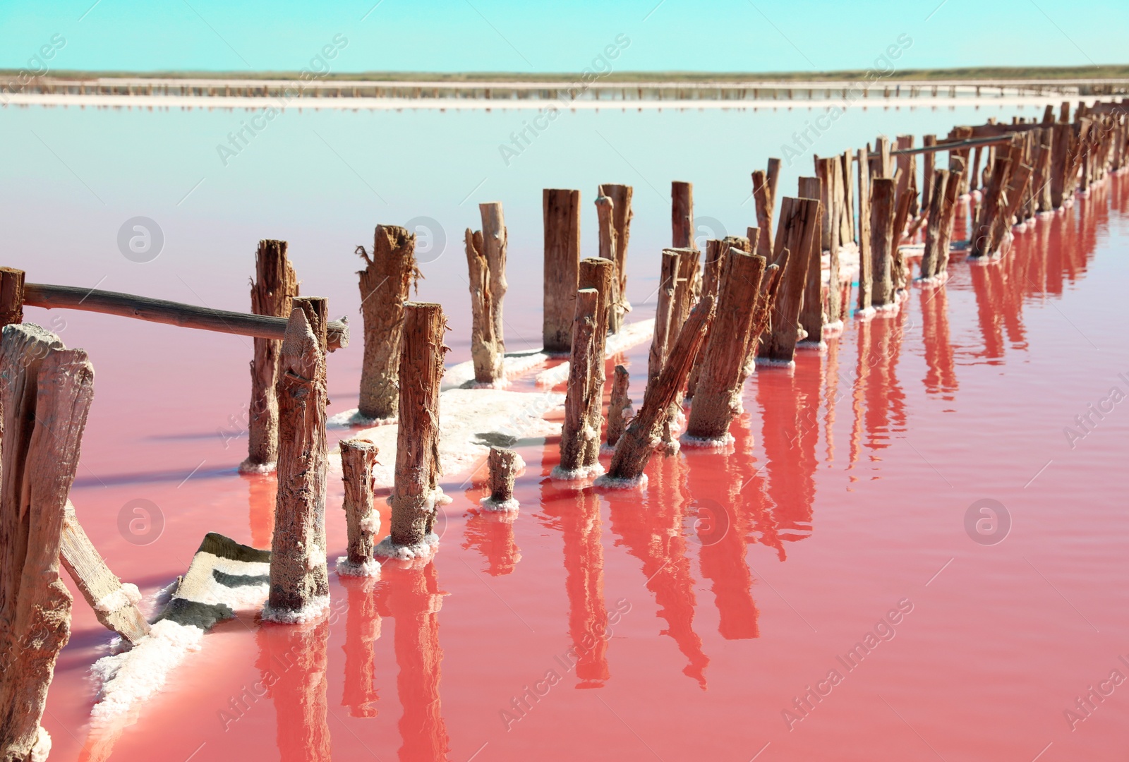 Photo of Beautiful view of pink lake on summer day