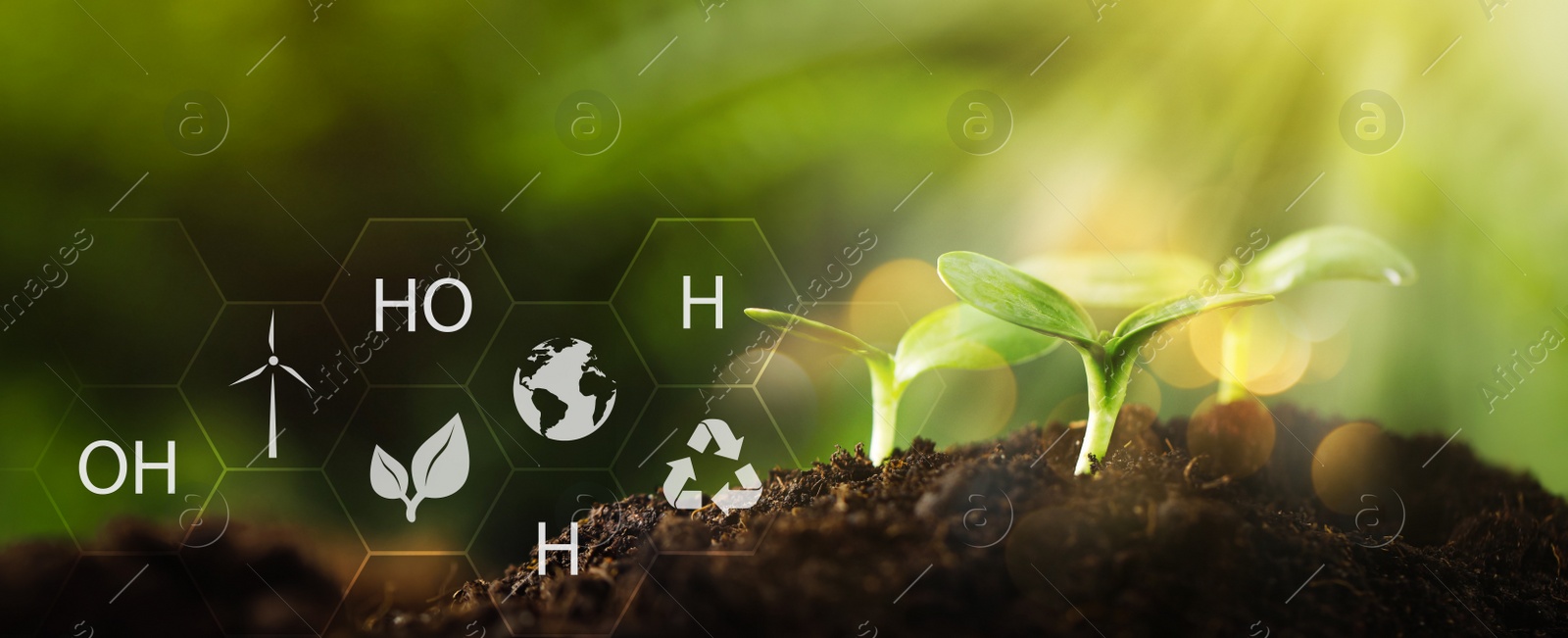 Image of Illustration of chemical formula and young seedling growing in soil outdoors, closeup. Banner design