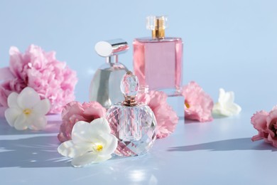 Bottles of luxury perfumes and floral decor on light grey background