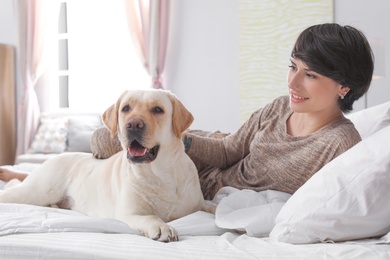 Photo of Adorable yellow labrador retriever with owner on bed indoors