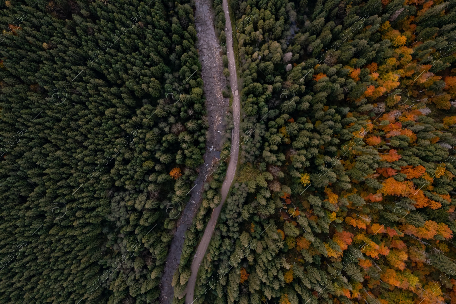 Image of Aerial view of beautiful forest, river and empty road on autumn day