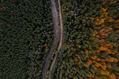 Image of Aerial view of beautiful forest, river and empty road on autumn day