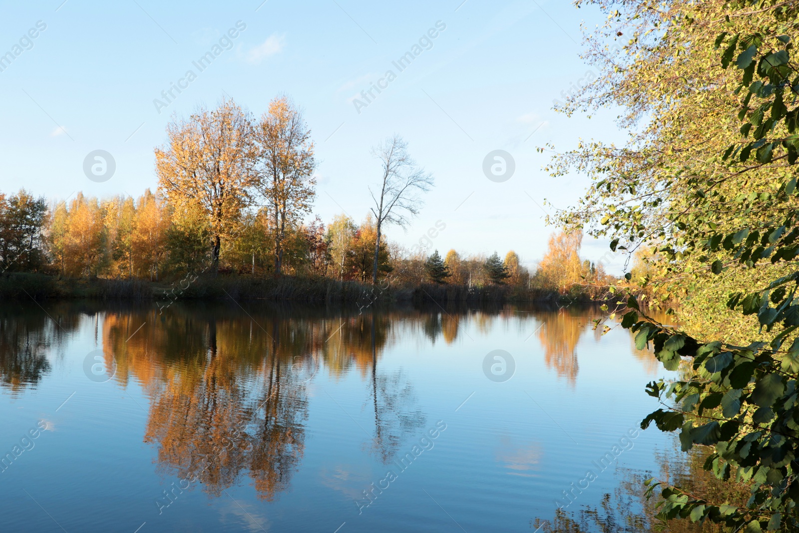 Photo of Picturesque view of lake and trees on autumn day