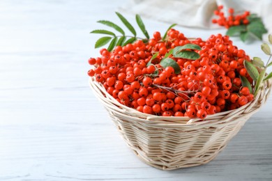 Photo of Fresh ripe rowan berries and leaves in wicker basket on white wooden table. Space for text