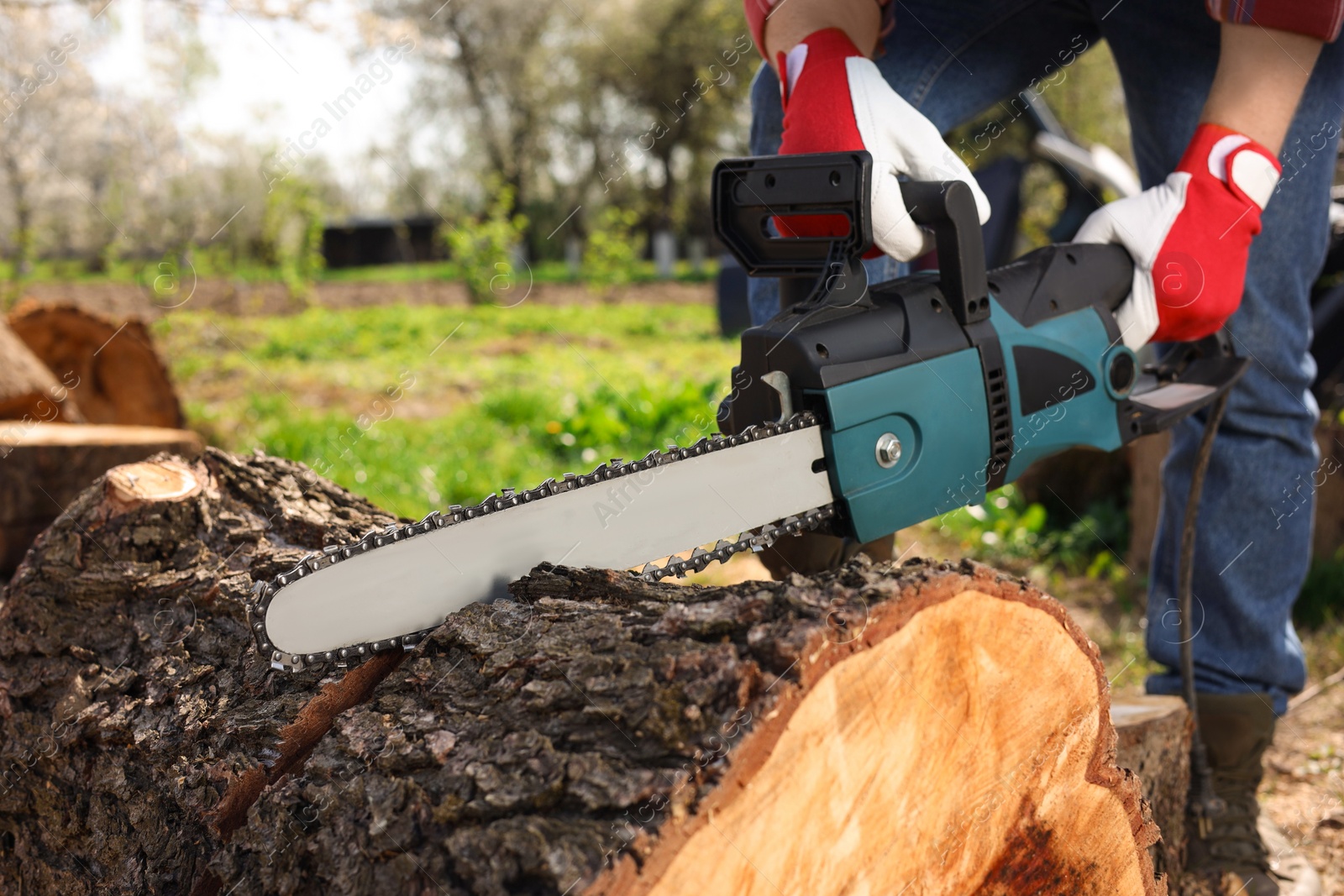 Photo of Man sawing wooden log on sunny day, closeup