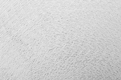 Photo of Macro view of toilet paper roll as background. Personal hygiene