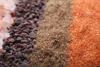 Photo of Different kinds of salt as background, closeup view