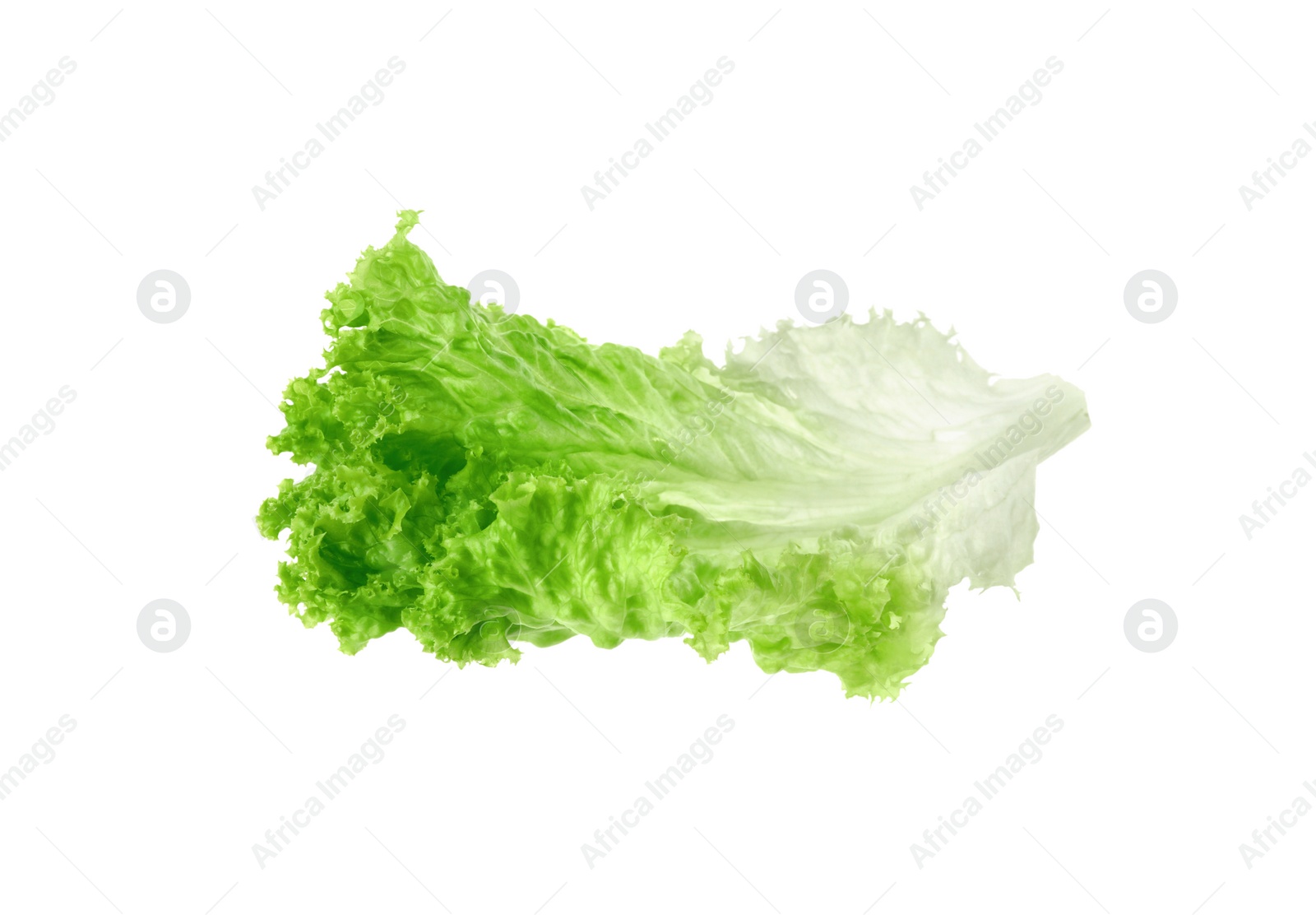 Photo of One green lettuce leaf isolated on white. Salad greens