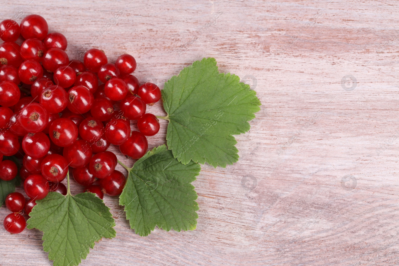 Photo of Ripe red currants on light wooden table, flat lay. Space for text