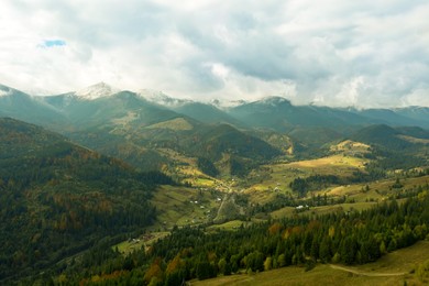 Aerial view of beautiful mountain forest on autumn day