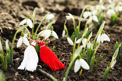 Traditional martisor among beautiful snowdrops outdoors. Beginning of spring celebration