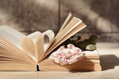 Photo of Book with beautiful dried flower on light table