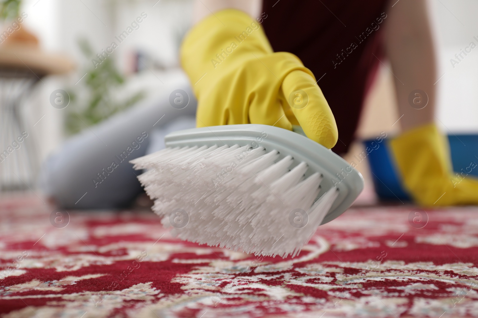 Photo of Woman in rubber gloves cleaning carpet with brush indoors, closeup