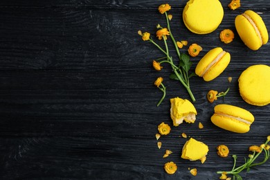 Photo of Flat lay composition with delicious yellow macarons and flowers on black wooden table. Space for text