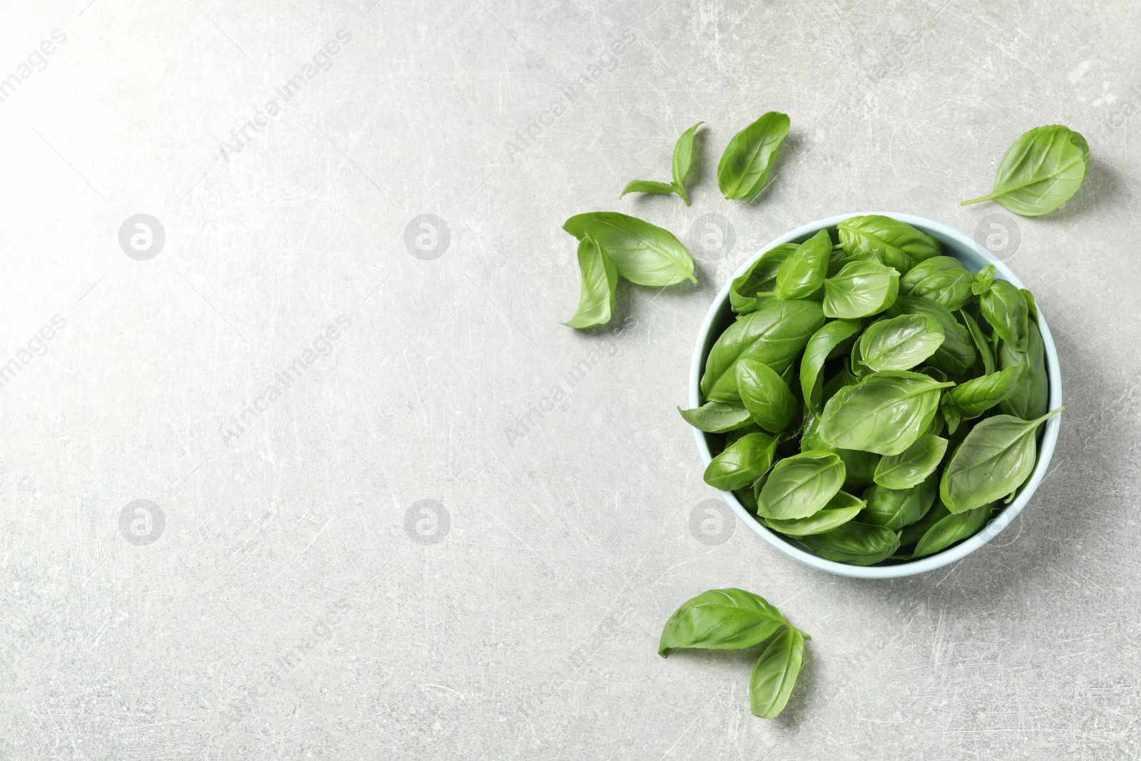 Photo of Fresh green basil on light grey table, flat lay. Space for text