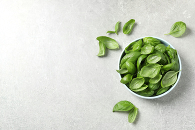 Photo of Fresh green basil on light grey table, flat lay. Space for text