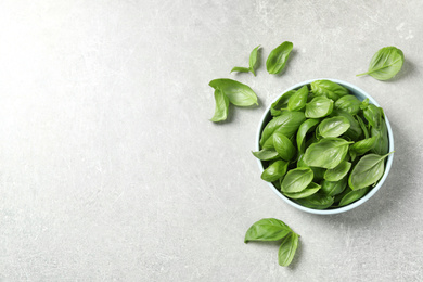 Fresh green basil on light grey table, flat lay. Space for text