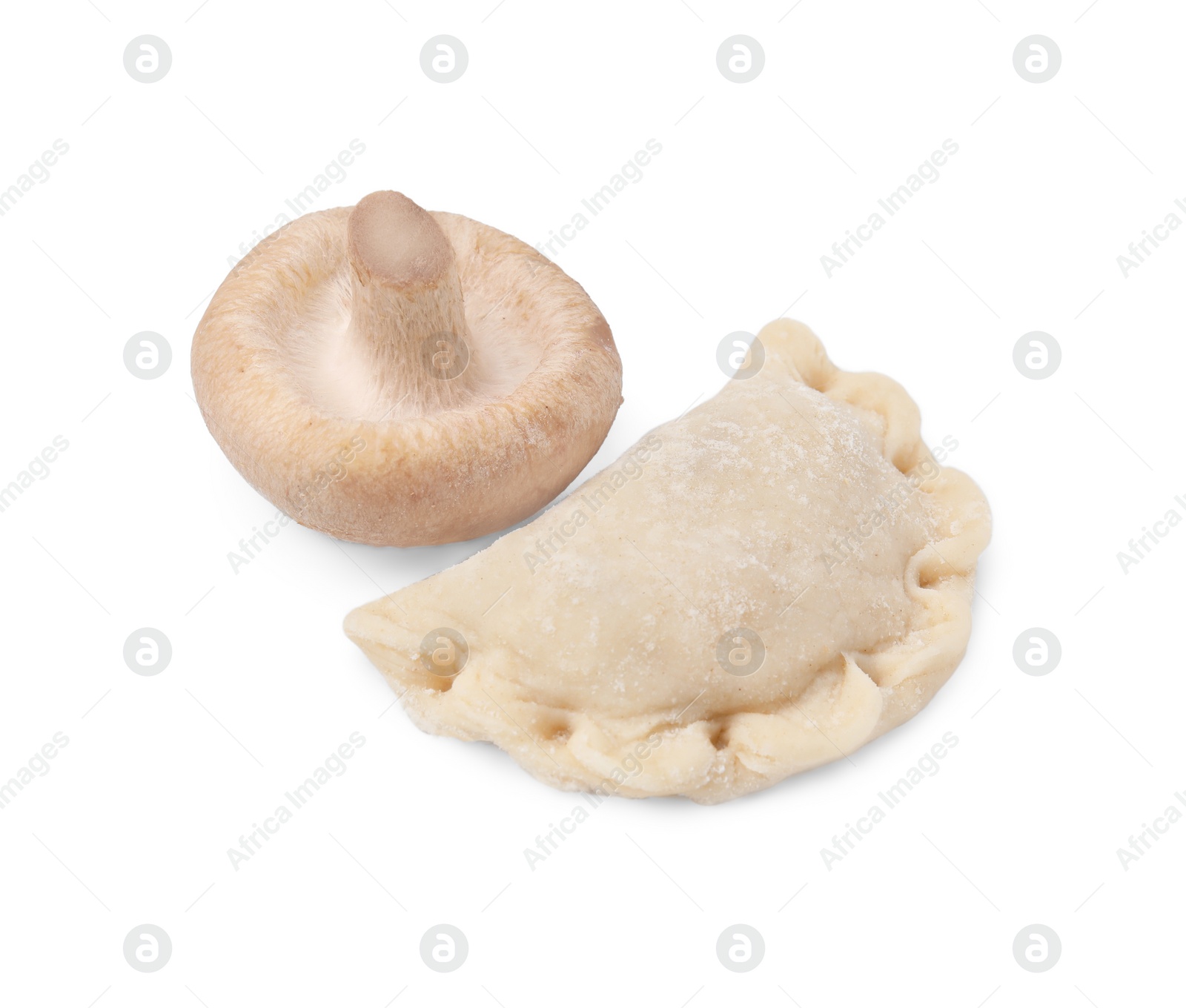 Photo of One raw dumpling (varenyk) and fresh mushroom isolated on white