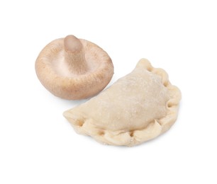 One raw dumpling (varenyk) and fresh mushroom isolated on white