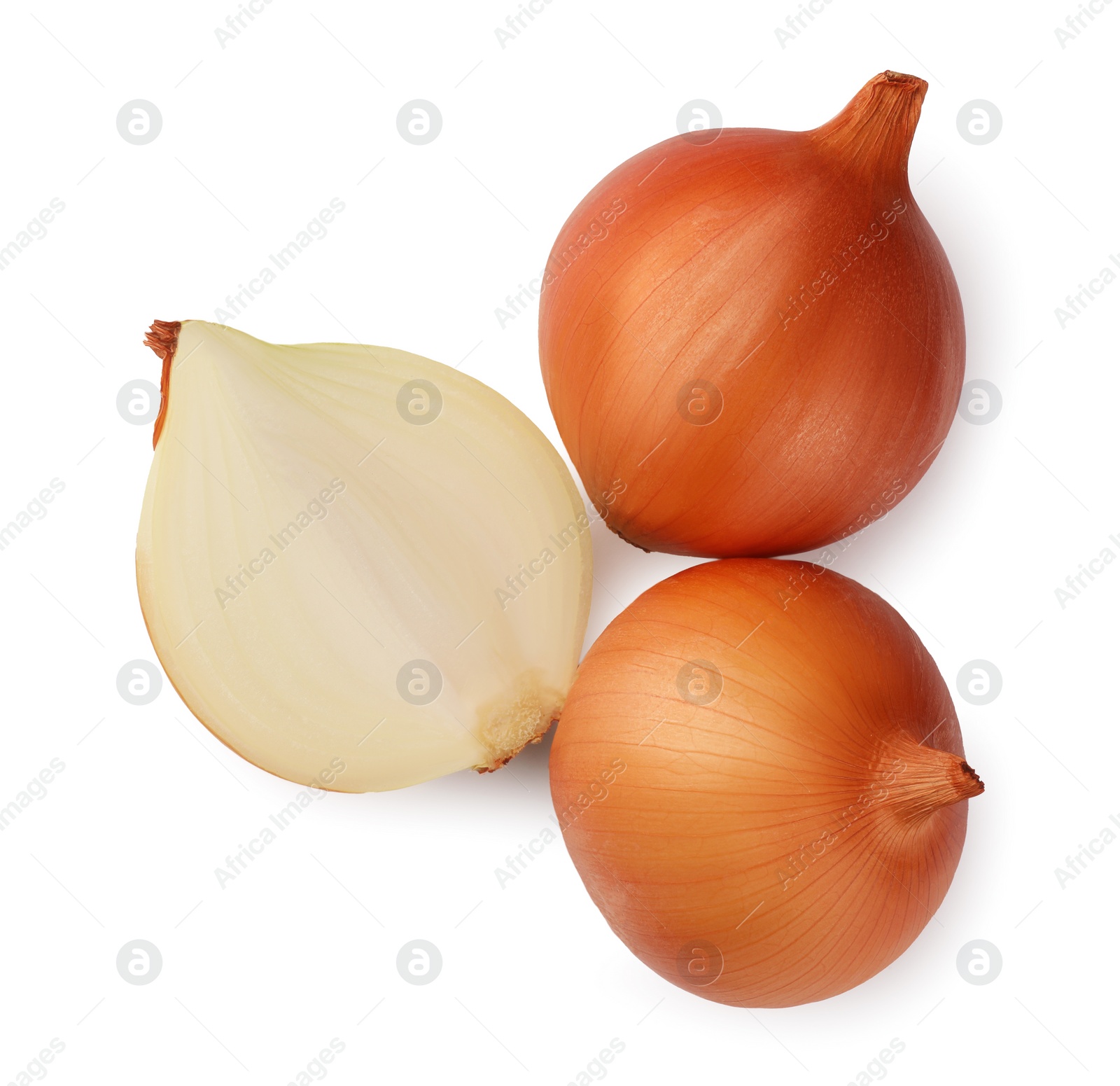 Photo of Whole and cut onions on white background, top view