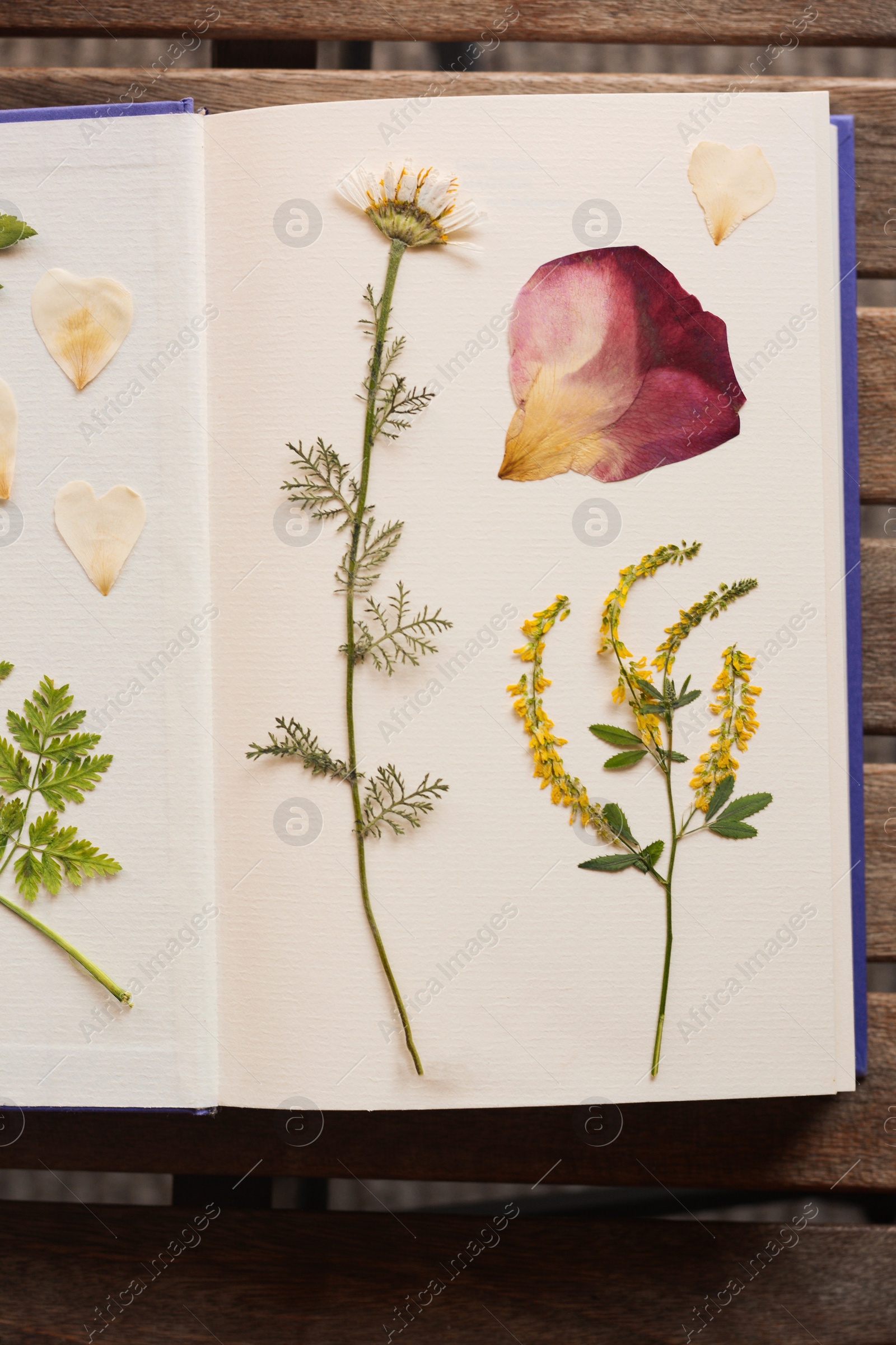 Photo of Book with dried flowers and leaves on wooden table, top view