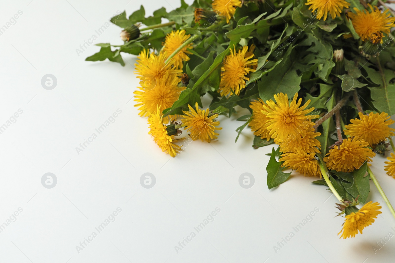 Photo of Beautiful dandelion bouquet on white background, closeup. Space for text