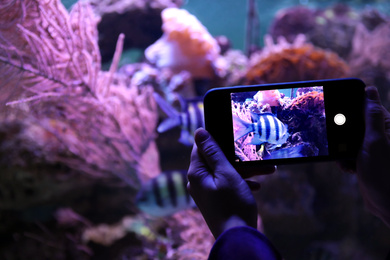 Photo of Woman taking photo of aquarium with fish, closeup