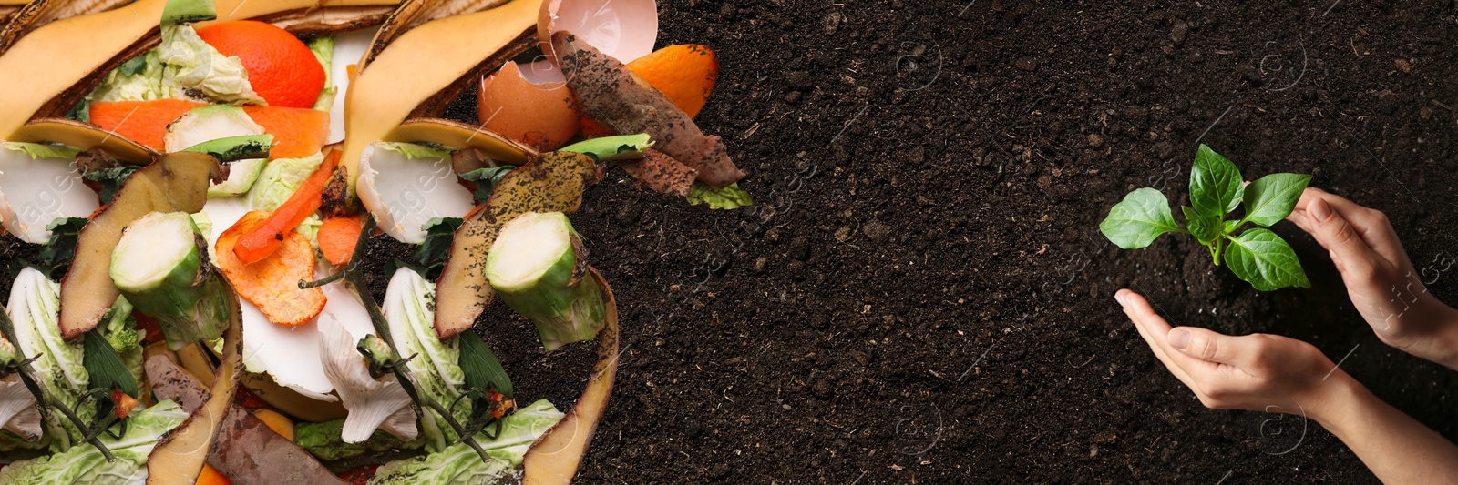 Image of Organic waste for composting on soil and woman taking care of seedling, top view. Natural fertilizer 