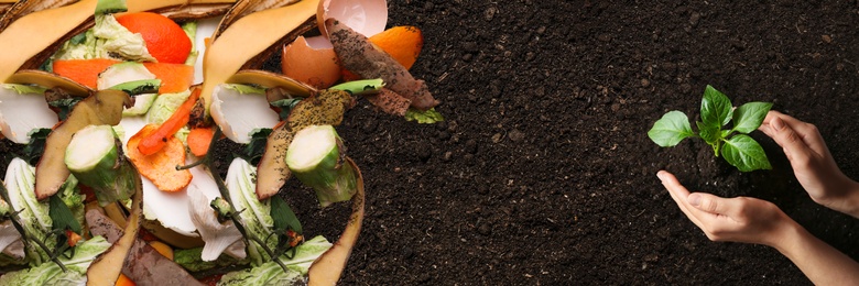Image of Organic waste for composting on soil and woman taking care of seedling, top view. Natural fertilizer 
