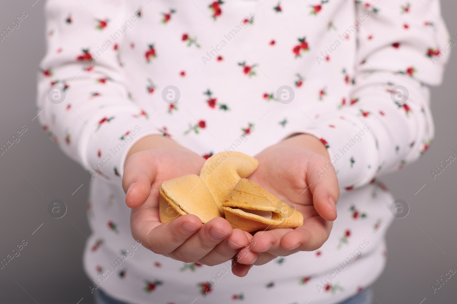 Photo of Girl holding tasty fortune cookies with prediction on light grey background, closeup