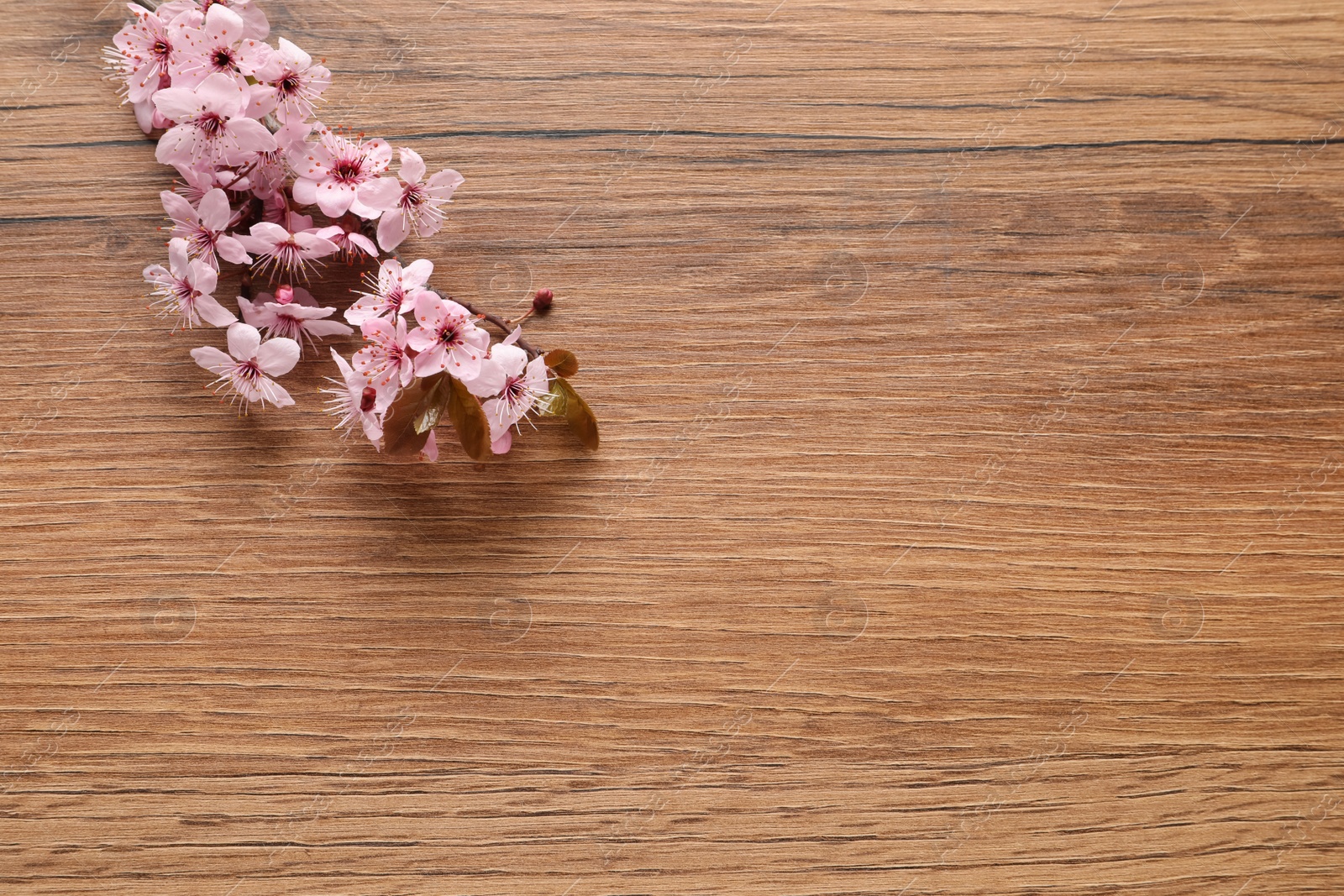 Photo of Blossoming spring tree branch on wooden table, flat lay. Space for text