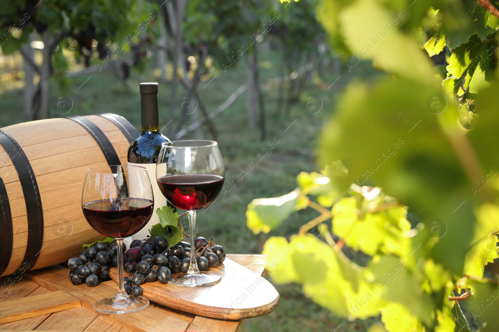 Photo of Composition with wine and ripe grapes on wooden table in vineyard