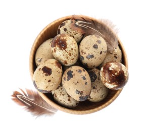 Photo of Bowl with speckled quail eggs and feathers isolated on white, top view