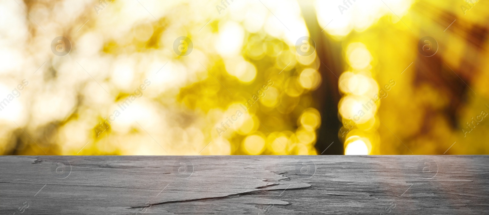 Image of Empty wooden surface against blurred background. Bokeh effect