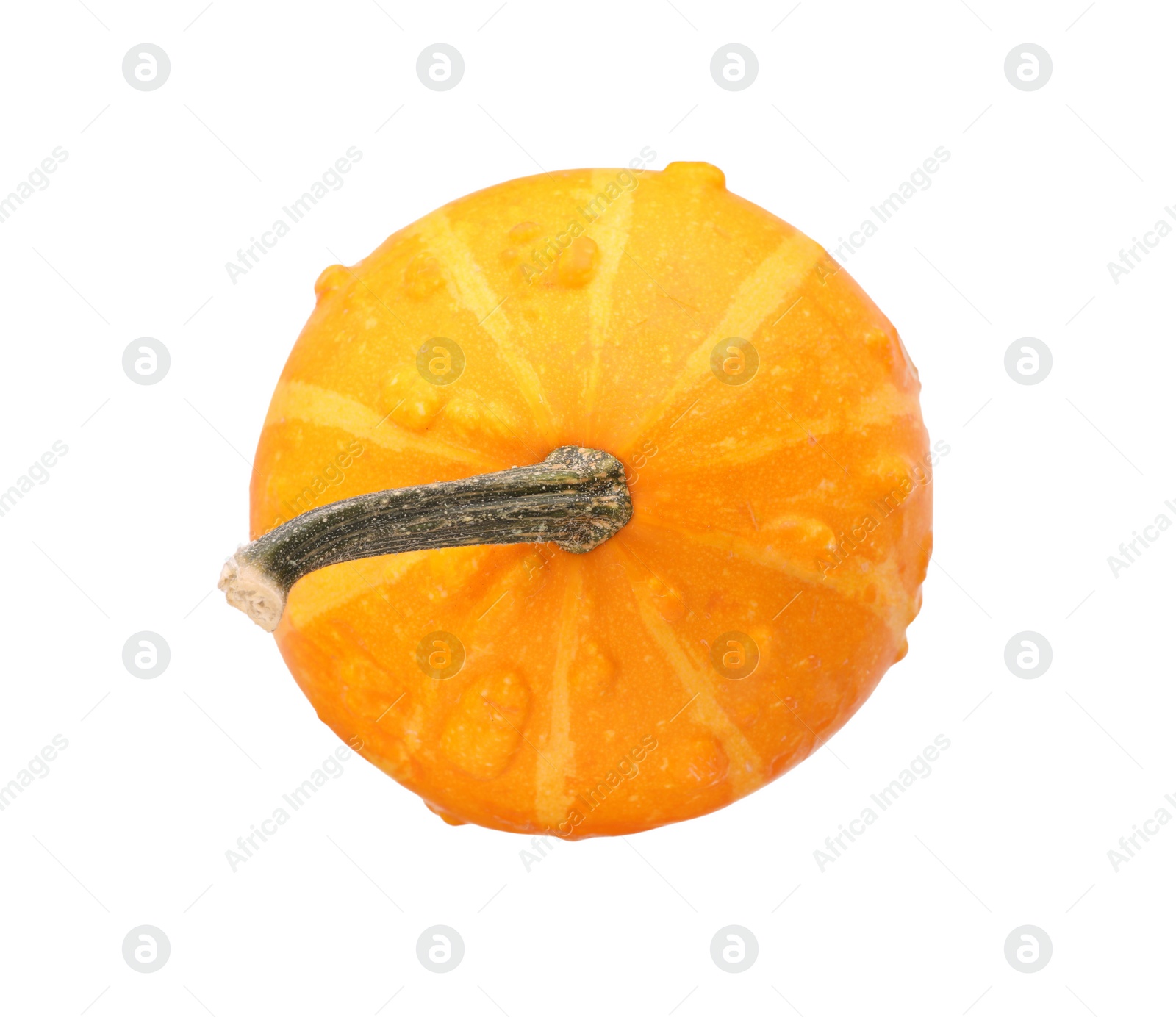 Photo of One fresh orange pumpkin isolated on white, top view