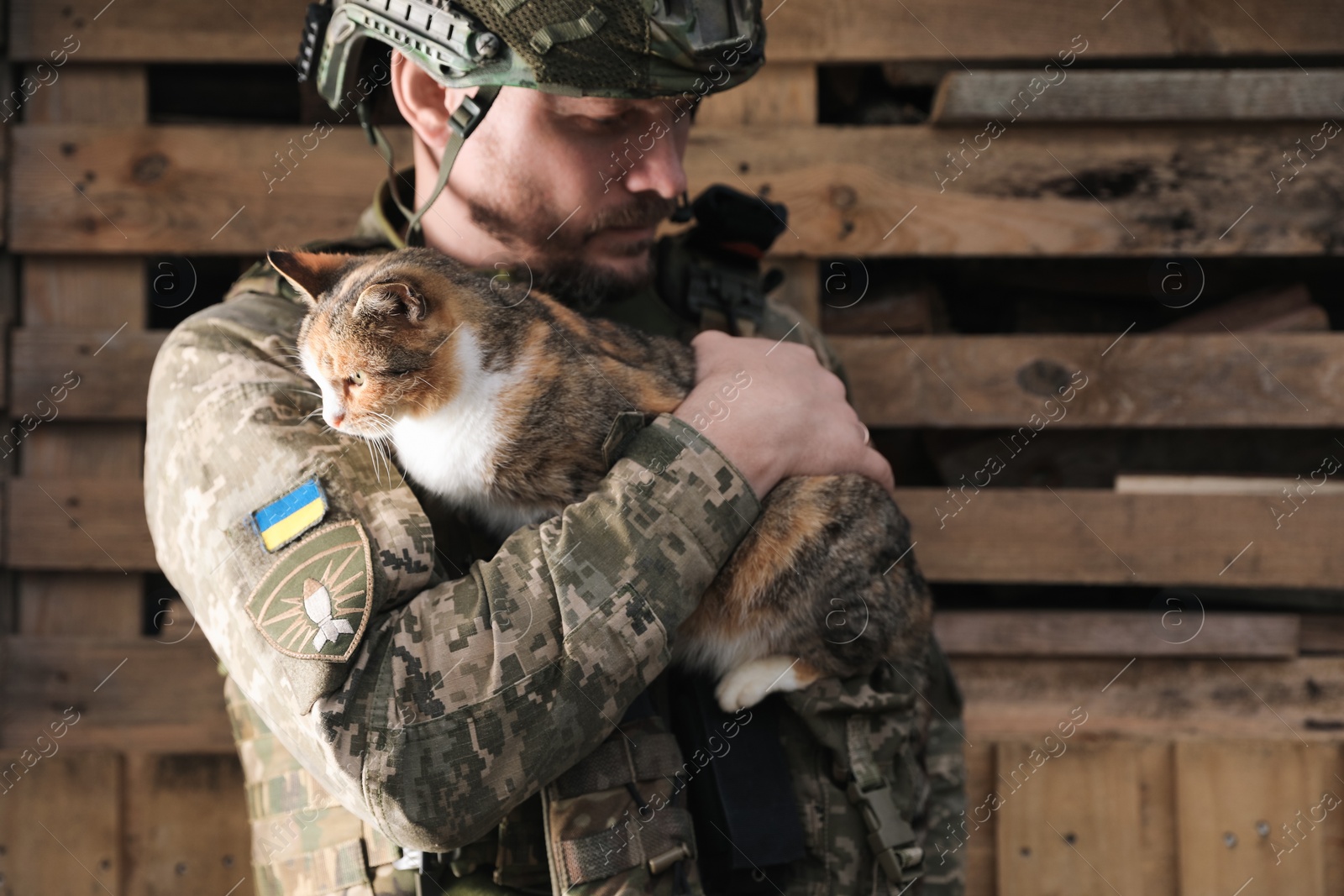 Photo of Ukrainian soldier with stray cat outdoors, closeup. Space for text