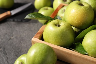 Photo of Ripe green apples with water drops in crate on grey table, closeup