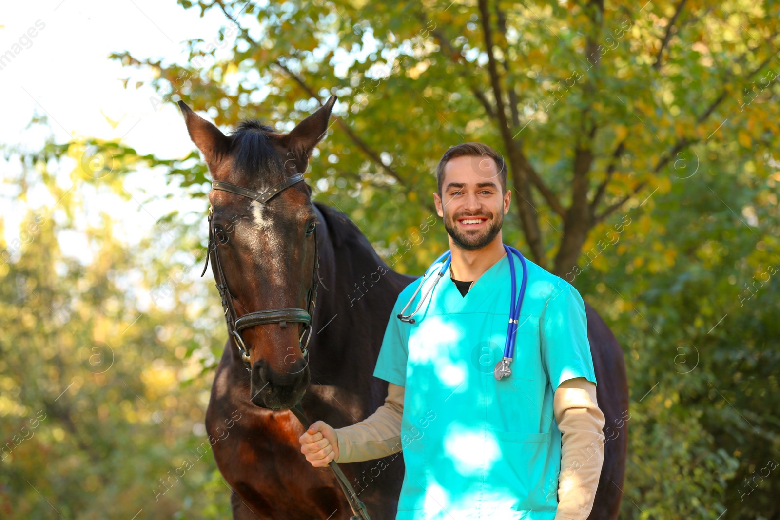 Photo of Veterinarian in uniform with beautiful brown horse outdoors